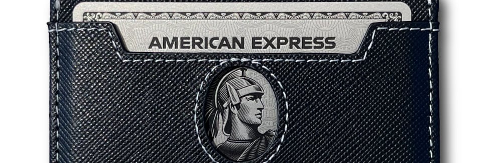 Best Wallet For Amex Platinum Card Holder Card Case